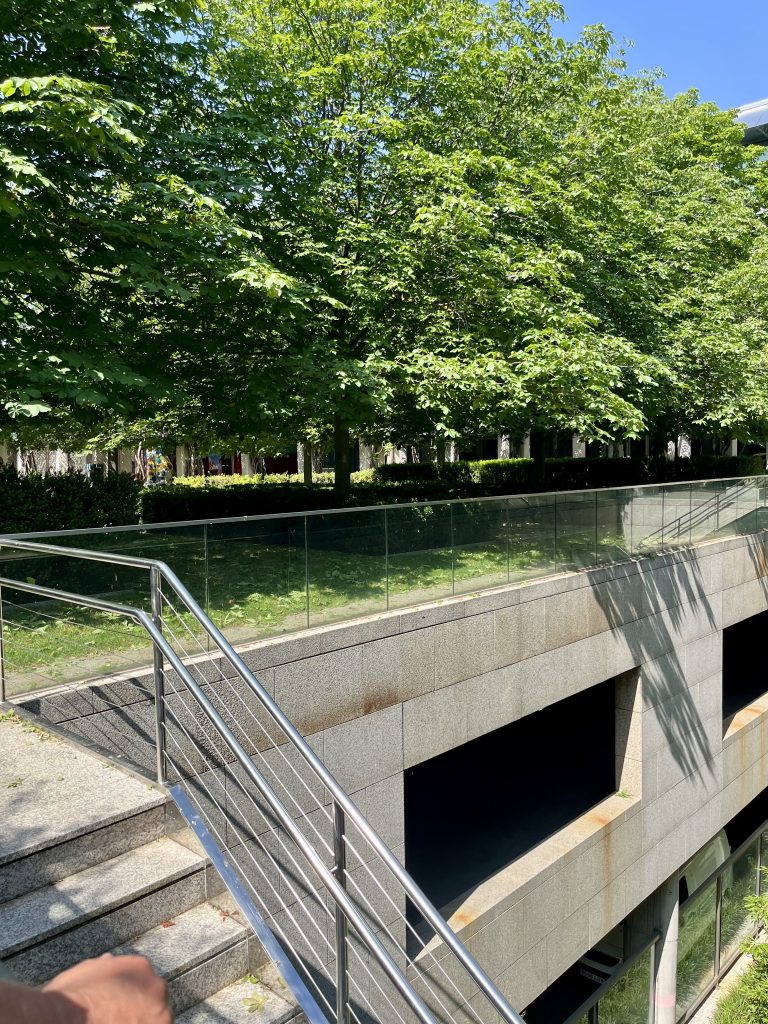 Vista de unas escaleras exteriores de piedra con una barandilla moderna de acero inoxidable y cables horizontales, que descienden junto a una estructura de sótano revestida de granito gris. En la parte superior, hay un nivel de suelo cubierto de césped y bordeado por una hilera de árboles grandes y frondosos con hojas verdes bajo la luz del sol. Una barandilla de vidrio separa el nivel superior de la estructura de abajo. Más verde, menos calor.
