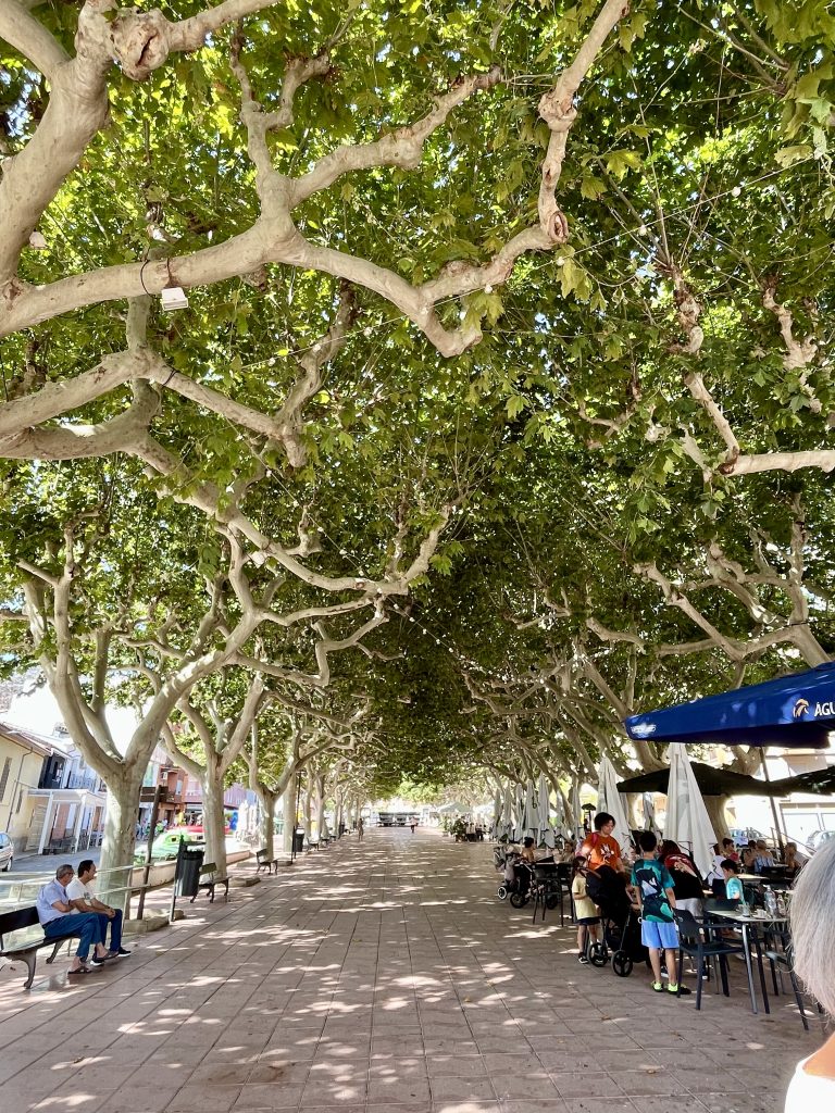 Largo paseo peatonal cubierto por un túnel de árboles frondosos de troncos blancos. Gente sentada en mesas de café a la derecha, con mucha sombra. Más verde, menos calor.