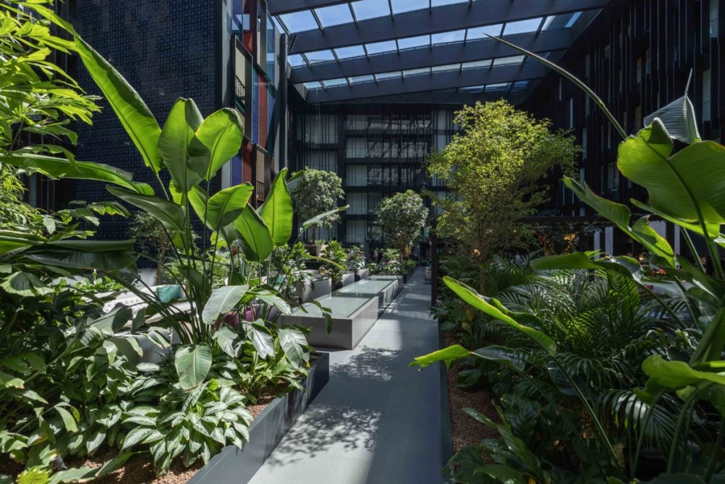 EILO Madrid Awards Bronce, patio interior o atrio de un edificio moderno, cubierto por un techo de vidrio y estructura metálica oscura (posiblemente un lucernario). El espacio está diseñado como un jardín interior exuberante, con amplias jardineras rectangulares de color gris oscuro a ambos lados de un pasillo central. Las jardineras contienen una variedad de plantas tropicales grandes, como Strelitzia nicolai (ave del paraíso gigante) y árboles de hoja verde claro. El suelo del pasillo es de color gris, y al fondo se ven las fachadas acristaladas de varios pisos del edificio. El propósito de la imagen es mostrar un área común de relajación o encuentro que maximiza la luz natural y el diseño biofílico en un entorno arquitectónico formal o corporativo.