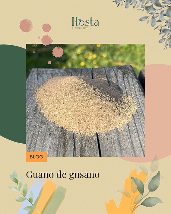 Guano de gusano orgánico en polvo sobre madera, abono natural para plantas y jardinería ecológica.