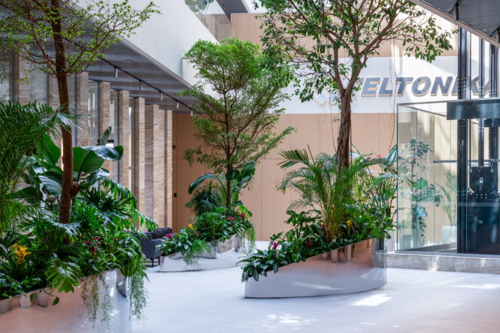 EILO Madrid Awards Plata, atrio o lobby moderno con techos altos y abundante luz natural, que presenta un marcado diseño biofílico. El espacio está decorado con tres grandes jardineras curvas y brillantes de metal pulido, de color plateado, que contienen árboles de tronco delgado y follaje frondoso, así como una variedad de plantas tropicales más pequeñas, palmeras de interior y flores de colores. El suelo es de un material liso y claro. Al fondo, se aprecian columnas altas, un ascensor de vidrio y parte de una señalización con el texto "ELTON" o similar en letras grandes. El propósito de la imagen es mostrar un área de recepción o espacio público de un edificio corporativo o comercial que utiliza la integración de grandes elementos naturales para crear un ambiente sofisticado, acogedor y visualmente impactante.