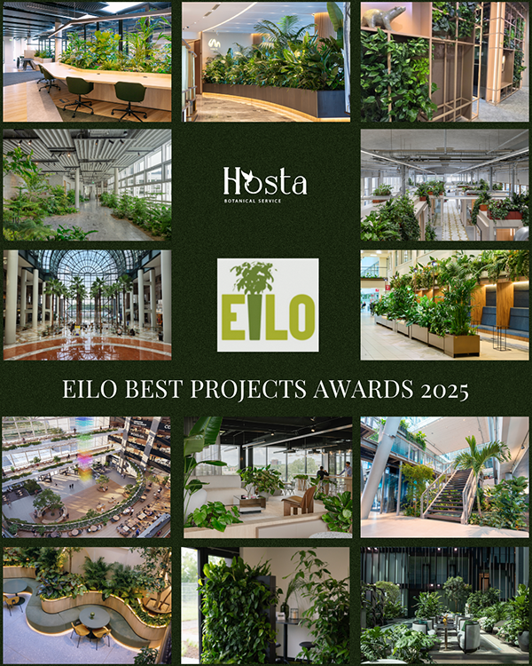 Collage promocional de EILO BEST PROJECTS AWARDS 2025 (Premios EILO a los Mejores Proyectos 2025) presentando el logotipo de Hosta Botanical Service. La imagen muestra una cuadrícula de fotografías de proyectos de paisajismo interior y biofilia en diversos espacios corporativos y comerciales, incluyendo oficinas, atrios, y zonas comunes con paredes verdes, jardineras grandes, y abundante vegetación, destacando el uso de plantas para mejorar los interiores. El fondo principal es de color verde oscuro.