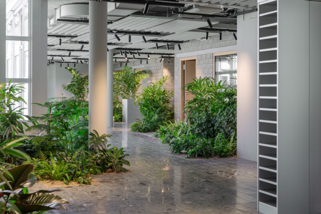 EILO Madrid Awards Oro, interior de oficina o espacio comercial moderno y luminoso con un diseño biofílico. El suelo es de terrazo o piedra oscura y pulida. El espacio está abundantemente decorado con grandes plantas verdes (incluyendo helechos y plantas de hojas anchas como ficus) que crecen en macetas grandes y en parterres bajos, creando una sensación de jardín interior o selva. Hay pilares de soporte blancos, paredes de ladrillo claro expuesto, y un techo con estructuras acústicas y rieles de iluminación negra. El propósito de la imagen es mostrar un diseño de interior que integra la naturaleza para crear un ambiente de trabajo o estancia relajante y saludable.