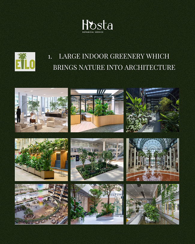 EILO Madrid Awards, categoría 1 de Hosta Botanical Service y EILO, titulada: "1. LARGE INDOOR GREENERY WHICH BRINGS NATURE INTO ARCHITECTURE" (Grandes Zonas Verdes Interiores que Integran la Naturaleza en la Arquitectura). Muestra una cuadrícula de nueve fotografías que ilustran la aplicación de grandes jardines y paisajismo interior en diversos entornos arquitectónicos, como vestíbulos corporativos, atrios de centros comerciales, y oficinas modernas, enfatizando la integración de la naturaleza en el diseño de interiores.