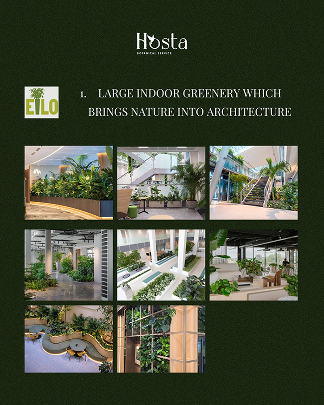 EILO Madrid Awards, segunda imagen de la categoría 1 de Hosta Botanical Service y EILO, titulada: "1. LARGE INDOOR GREENERY WHICH BRINGS NATURE INTO ARCHITECTURE" (Grandes Zonas Verdes Interiores que Integran la Naturaleza en la Arquitectura). Muestra una cuadrícula de ocho fotografías que ilustran esta categoría, mostrando diversos proyectos de paisajismo interior a gran escala, como atrios, oficinas, y espacios comerciales, caracterizados por el uso de grandes macetas, jardineras y árboles para integrar la vegetación en la estructura arquitectónica.