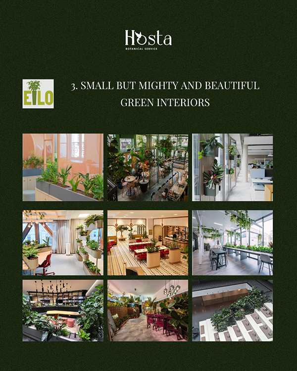 EILO Madrid Awards, categoría 3 de Hosta Botanical Service y EILO, bajo el título "3. Small but Mighty and Beautiful Green Interiors" (Interiores Verdes Pequeños pero Poderosos y Hermosos). La imagen principal es una cuadrícula de nueve fotografías que muestran diferentes ejemplos de integraciones de plantas de interior a menor escala en varios entornos: oficinas, restaurantes, lobbies de edificios, y áreas comunes. Las soluciones incluyen jardineras de diseño, plantas colgantes, y particiones vegetales. El propósito de la imagen es promocionar y visualizar la gama de soluciones de diseño biofílico de la empresa, específicamente la integración de vegetación en espacios interiores más pequeños o delimitados para mejorar la estética, la funcionalidad y el bienestar.