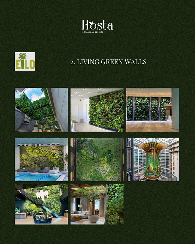 EILO Madrid Awards, categoría 2 de Hosta Botanical Service y EILO, bajo el título "2. Living Green Walls" (Muros Verdes Vivos). La imagen principal es una cuadrícula de siete fotografías que muestran diferentes ejemplos de paredes vegetales interiores instaladas en varios entornos, incluyendo oficinas, lobbies de edificios, áreas de piscinas, y espacios comerciales de diseño. El propósito de la imagen es promocionar y visualizar la gama de soluciones de diseño biofílico de la empresa, específicamente la instalación de jardines verticales para mejorar la estética, la calidad del aire y el bienestar en espacios interiores corporativos y de ocio.